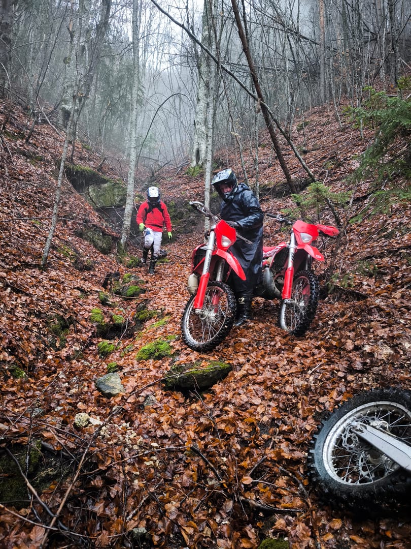 Trail Riding